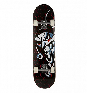 Скейтборд Maxcity Joker