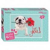 Мозаика Step Puzzle Мирна Studio Pets By Myrna 120 75145
