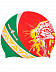Шапочка для бассейна (плавания) взрослая Mad Wave TATARSTAN red/green