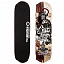 Скейтборд Tempish Street Boss B