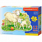Пазл Castorland 12 maxi 120079
