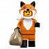 Конструктор Сюрприз LEGO Minifigures серия 19 71025