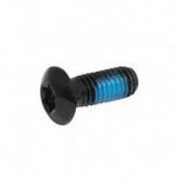 Болт тормозного диска TORX 25 6 шт 42435