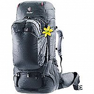 Рюкзак Deuter Aviant Voyager 60+10 SL 3513120-7000 black