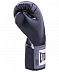 Перчатки боксерские Everlast Pro Style Anti-MB 2214U black