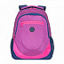 Рюкзак школьный GRIZZLY RD-953-1 /4 lilac/blue