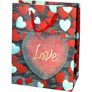 Пакет подарочный BZ97