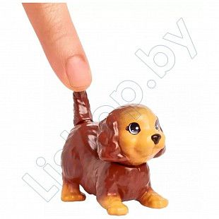 Игровой набор Barbie Милые животные и аксессуары (HKD81 HKD82)
