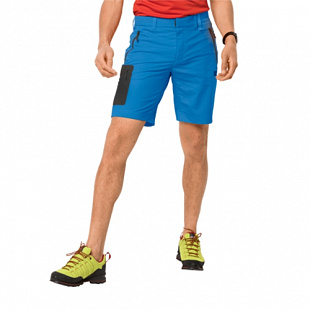 Шорты мужские Jack Wolfskin Active Track Shorts Men brilliant blue