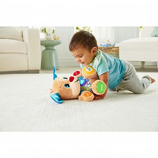 Игрушка интерактивная Fisher Price Ученый щенок FPN77
