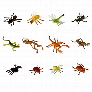 Набор насекомых Bondibon "Ребятам о Зверятах" ВВ2371