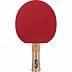 Профессиональная ракетка для настольного тенниса Atemi PRO 5000 AN