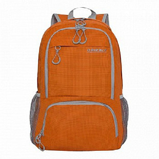 Городской рюкзак GRIZZLY RQ-005-1 /5 orange