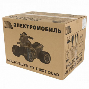 Мини-квадрацикл Полесье Molto 6V (R) 61843