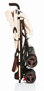 Коляска Geoby D388W-F MSH