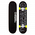 Скейтборд Tempish Street Boss C