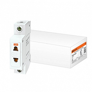 Розетка Tdm РД-47 1Р 10А SQ0209-0002
