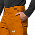 Брюки мужские Jack Wolfskin Powder Mountain Pants M rusty orange