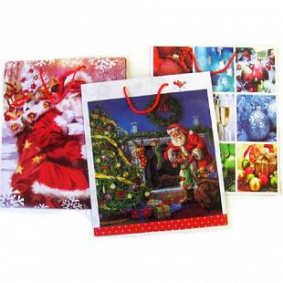 Пакет подарочный 2016745