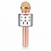 Колонка с функцией Караоке Микрофона Wster WS-858 pink gold