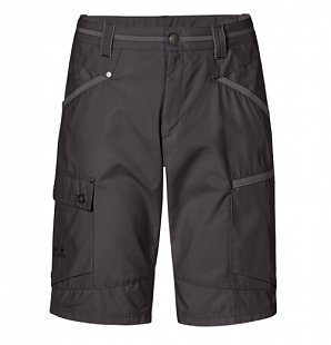 Шорты Jack Wolfskin Southshorts Men grey