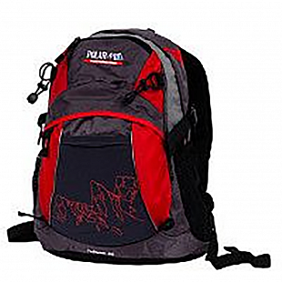 Городской рюкзак Polar П1563 orange
