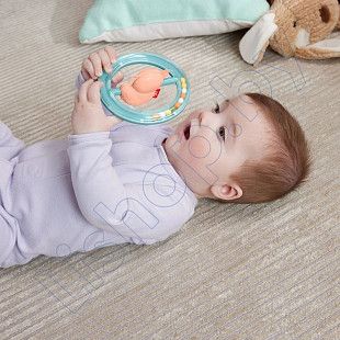 Прорезыватель Fisher Price Аксолотль (HRB19 HRB21)