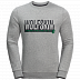 Пуловер мужский Jack Wolfskin Slogan Sweatshirt M light grey