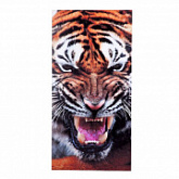 Нарды Combosport Тигр цветные