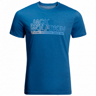 Футболка мужская Jack Wolfskin Ocean T M electric blue