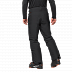 Брюки мужские Jack Wolfskin Powder Mountain Pants M black