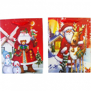 Пакет подарочный 2016749