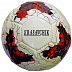 Мяч футбольный Vimpex Sport KRASAVCHIK 8058\G 5