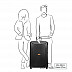 Чемодан Samsonite S'CURE ECO 81см CN0*18 008 grey