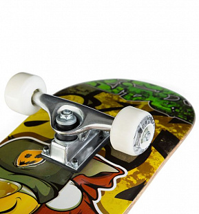 Скейтборд Спортивная Коллекция Rider