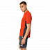 Футболка мужская Jack Wolfskin Narrows T M wild brier