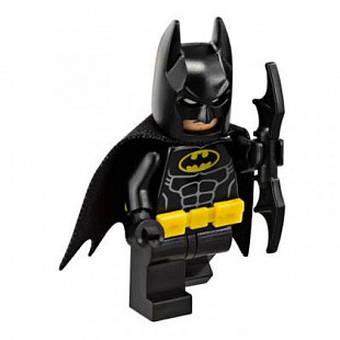 Конструктор LEGO Бэтмолёт 70916