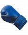 Перчатки боксерские Insane ODIN IN22-BG200 12 oz blue