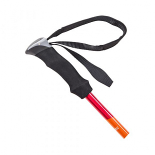 Палка треккинговая Talberg Expedition Pole