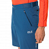 Шорты мужские Jack Wolfskin Delta Shorts M indigo blue