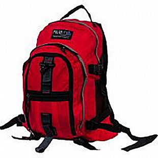 Городской рюкзак Polar П1955 red