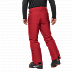 Брюки мужские Jack Wolfskin Powder Mountain Pants M red lacquer
