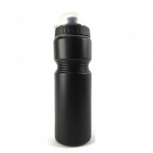 Бутылка для воды Ausini 550 мл VT19-11324 black
