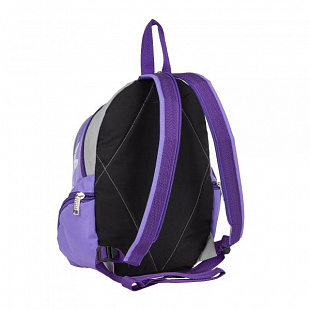 Школьный рюкзак Polar П56 purple