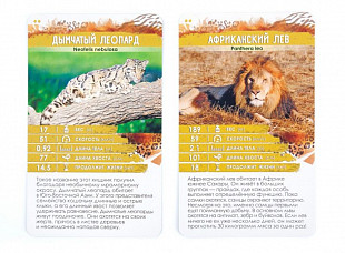 Настольная игра Стиль Жизни Секреты планеты. Хищники 321146