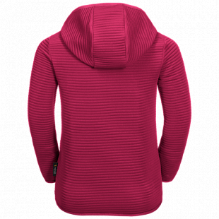 Джемпер детский Jack Wolfskin Modesto Hoody Kids azalea red