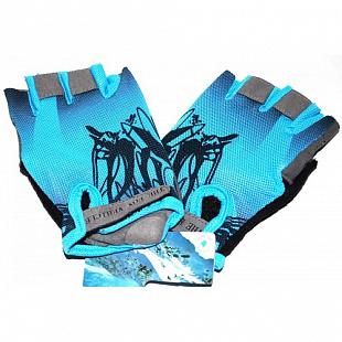 Перчатки для фитнеса Zez Sport LBL-14-652 Blue