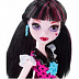 Куклa Monster High Первый день в школе DNW97 DNW98