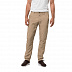 Брюки мужские Jack Wolfskin Desert Valley Pants Men sand dune
