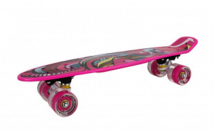 Penny board (пенни борд) RGX 205 PNB-07 22" LED